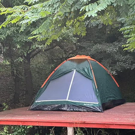 Camping Erdei Buborek *